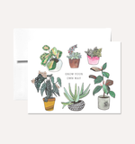 Greeting Cards & Stationery - Persika Design Co.