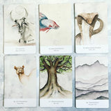 Land Sky Oracle Deck