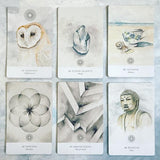 Land Sky Oracle Deck