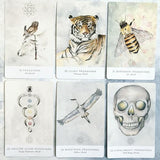 Land Sky Oracle Deck