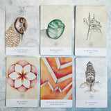 Land Sky Oracle Deck