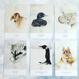 Land Sky Oracle Deck