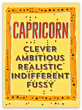 Zodiac Sign Stickers - Penny Candy