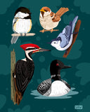 Lily Wenndt Illustration - Prints