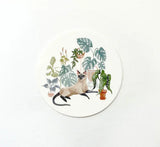 Rae Ritchie - Stickers