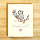 Everyday Cards - Inklosures