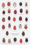 melbry//arts - 5x7 prints