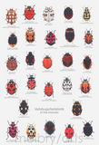 melbry//arts - 5x7 prints
