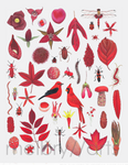 melbry//arts -  11x14 Color in the Midwest Prints