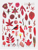 melbry//arts -  11x14 Color in the Midwest Prints
