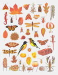 melbry//arts -  11x14 Color in the Midwest Prints