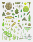 melbry//arts -  11x14 Color in the Midwest Prints