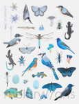 melbry//arts -  11x14 Color in the Midwest Prints