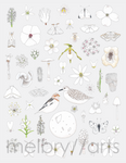 melbry//arts -  11x14 Color in the Midwest Prints