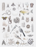melbry//arts -  11x14 Color in the Midwest Prints