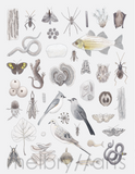 melbry//arts -  11x14 Color in the Midwest Prints