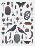 melbry//arts -  11x14 Color in the Midwest Prints