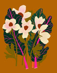 Bekah Worley - 8x10 Prints