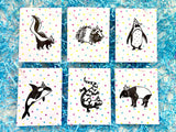Boxed Sets of 6 Greeting Cards - Cheeky Beak