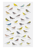 melbry//arts - 5x7 "of the Midwest" Prints